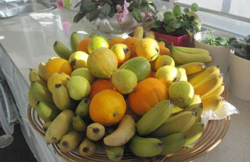 Summer house with BBQ and Garden - Foto 27