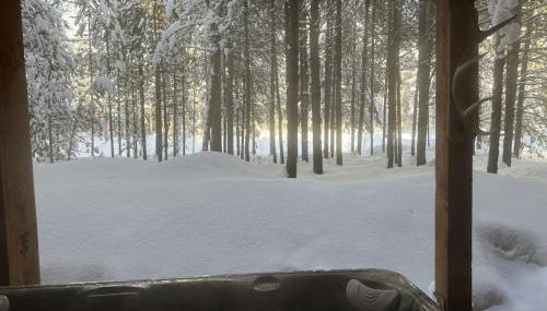 Lakeside, Hot Tub Theater Room - Foto 4