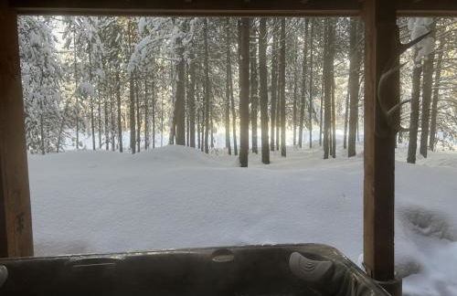 Lakeside, Hot Tub Theater Room - Foto 4