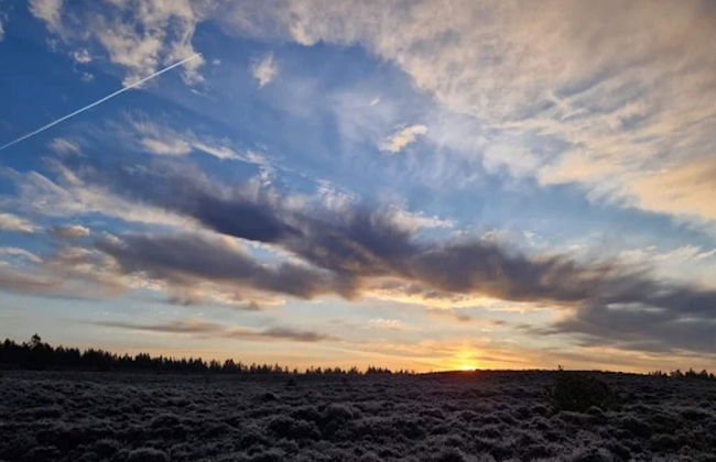 4 Star Holiday Home in Brande - Foto 32