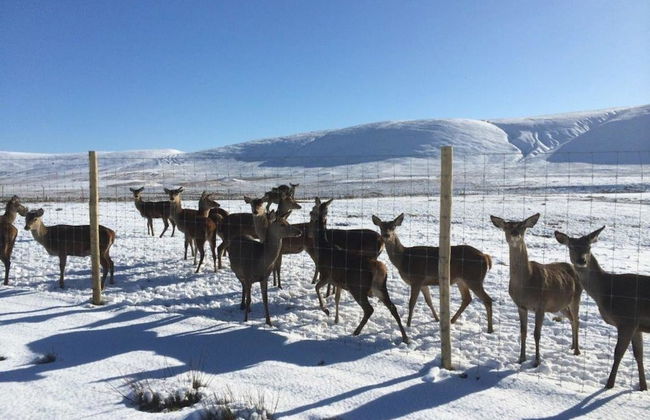 Mauldslie Hill Cottage - Photo 9