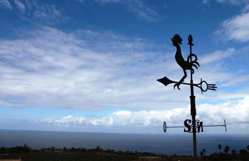 FINCA LA PLANTACIÓN _Agroturismo - Foto 41