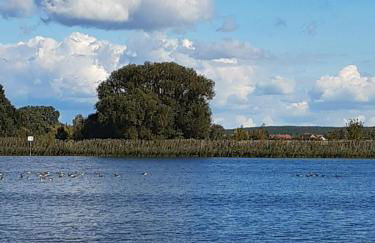 Hausboot-schwimmendes-Ferienhaus-im-Havelbogen-Haus-auf-dem-Wasser - Foto 15