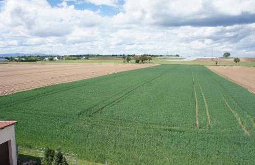 FeWo Lingenfeld - Foto 68