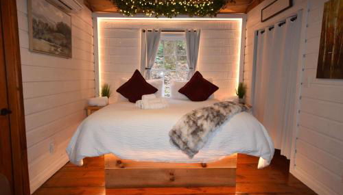 Buzzard Roost cabin at Cabin Fever in NC - Foto 4