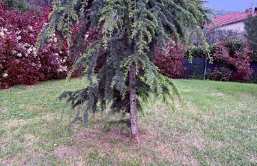 Villa SARA il giardino di Dafne - Foto 26