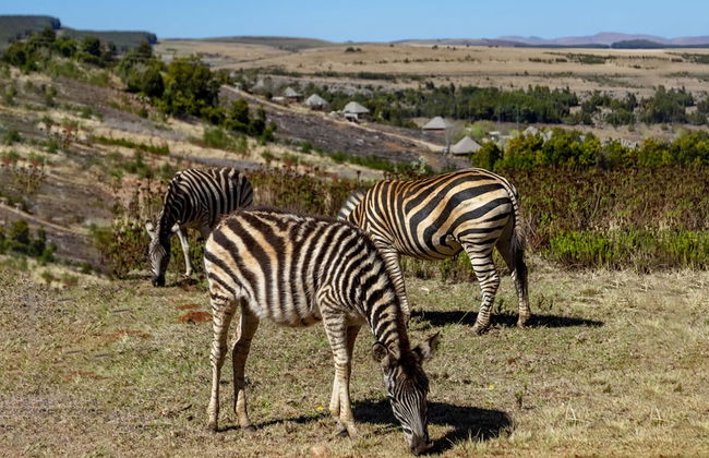 Crystal Springs Mountain Lodge - Photo 37