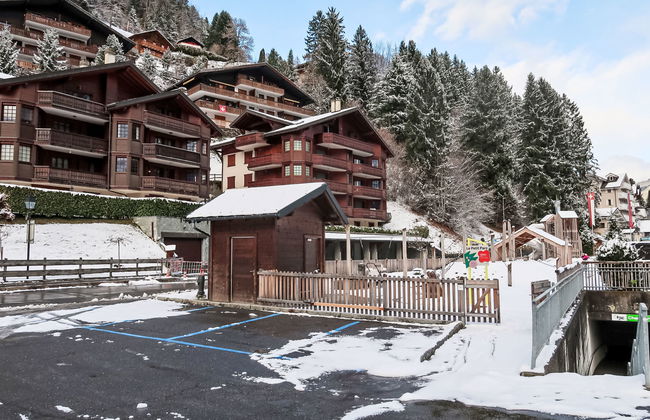 Bouquetins - Photo 31