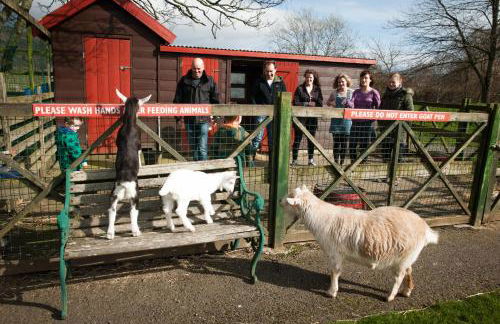 River Edge Lodges - Foto 51