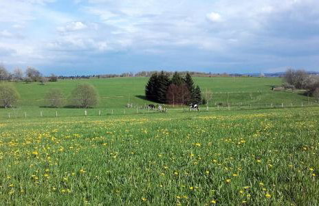 Gîte Les Hirondelles - Foto 33