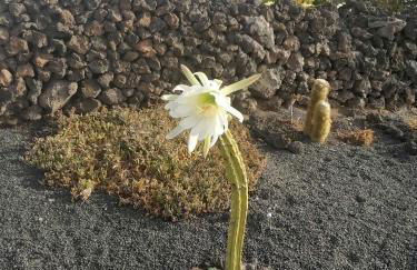 Apartamento Kokozun 28 - Foto 37