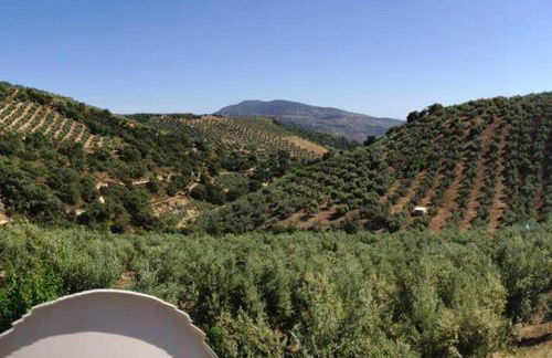 Elegant Villa in Granada with Pool and Garden - Foto 7