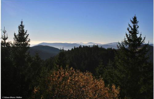 Haus am Waldrand - Foto 42