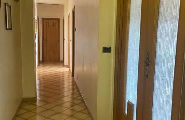 Rosa's house - Photo 11