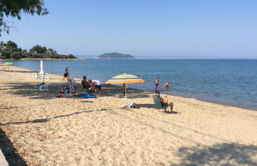 Paradise Blue - Foto 21