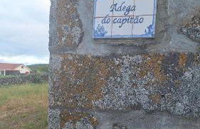 Adega do capitao - Photo 13