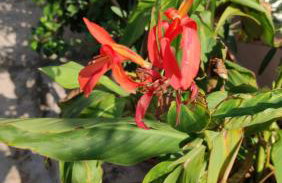 Σοφίτα Μαρτά - Foto 50