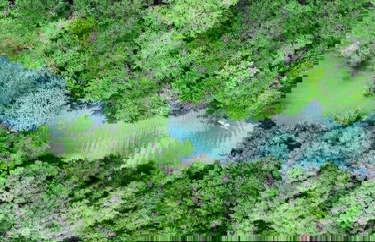 5 Son's Geronimo - Birdhouse Cabin - Foto 65