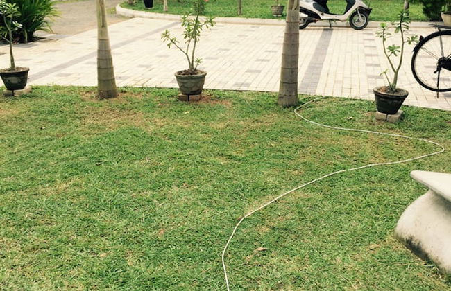 Peacock Villa - Photo 29