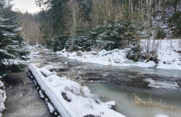 Apartamenty u Sikory - Foto 49