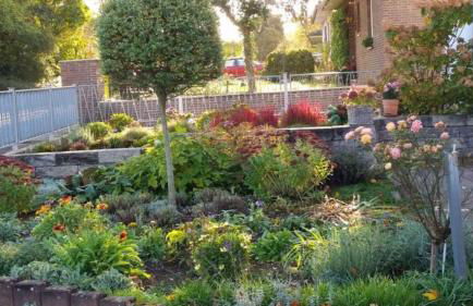 Ferienwohnung Grüner Horizont - Foto 21