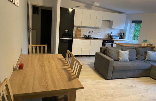 Apartament w malowniczej Sosnówce - Foto 4