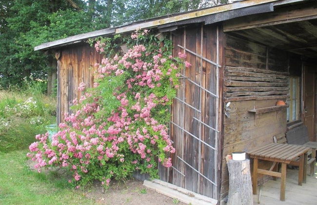 Garden Escape, Kleinwinklarn - Foto 23