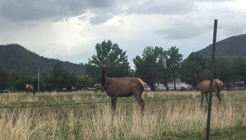 Lakeside Traditions Arizona Home with Game Room! - Foto 3