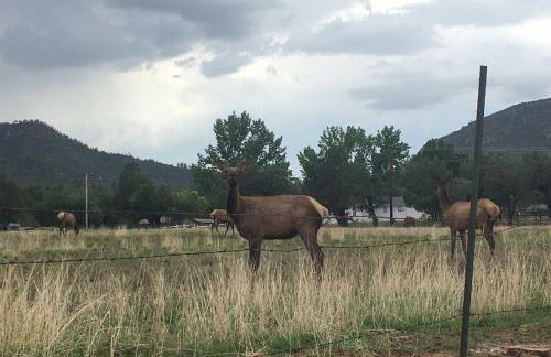 Lakeside Traditions Arizona Home with Game Room! - Foto 3