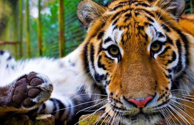 Luxurious 2-bed Apartment in Maidstone Kent - Foto 13