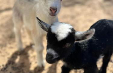 Relaxing Modern stay on a Ranch - Foto 62