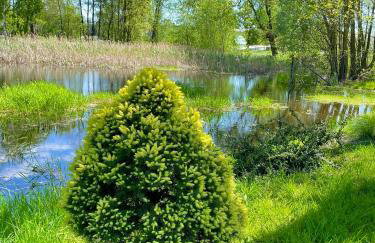 Cichy Zakątek dom całoroczny , Janowiec, Kazimierz Dolny, - Foto 11