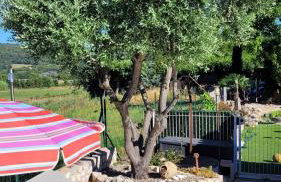 Gîte Provence Piscine Luberon - Domaine ARTEMISS - Foto 39