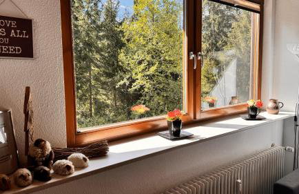 Waldapartments Titisee - Foto 40