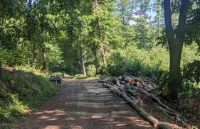 Apartament&SPA Lis&Las - Photo 14