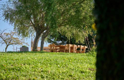 Dimora Valentina Casa Primula - Foto 29