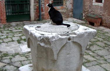 Apartment Essence of Venice - Photo 19