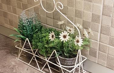 Apartments Nona 1 - Photo 72