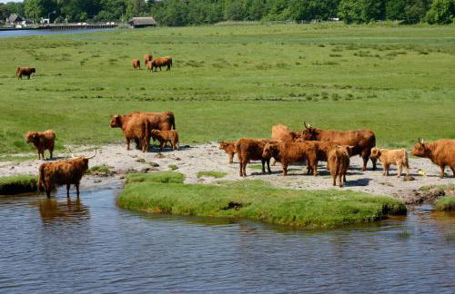 Admiral Stuuv - Photo 43