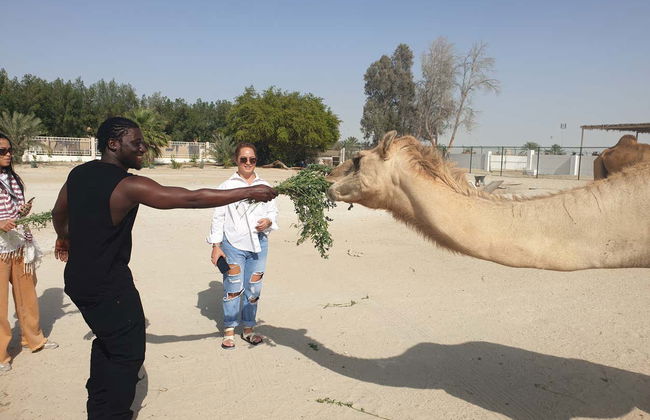 Tour di Manama al completo con biglietti - Foto 5