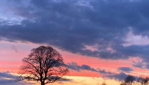 Glashaus Sternblick, Schlafen unterm Sternenhimmel - Foto 5