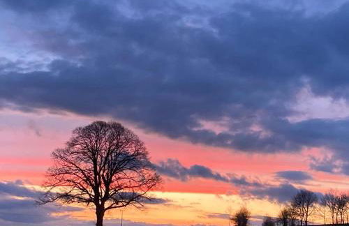 Glashaus Sternblick, Schlafen unterm Sternenhimmel - Foto 5