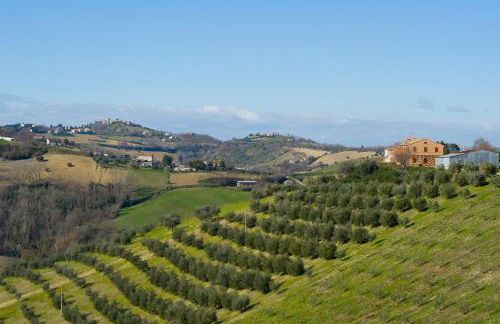 Agriturismo Serena -Petritoli- - Foto 55