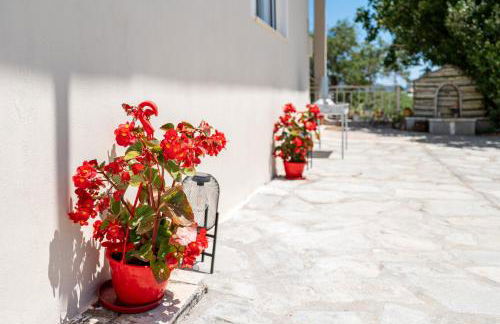 Elena's House - Photo 36