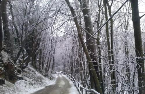 Alojamiento Rural Molino Del Puente - Photo 36