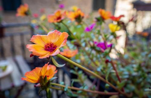 Aramo Verde - Foto 32