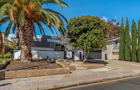 Hey I Am Adriana On The Block Pool BBQ - Foto 10