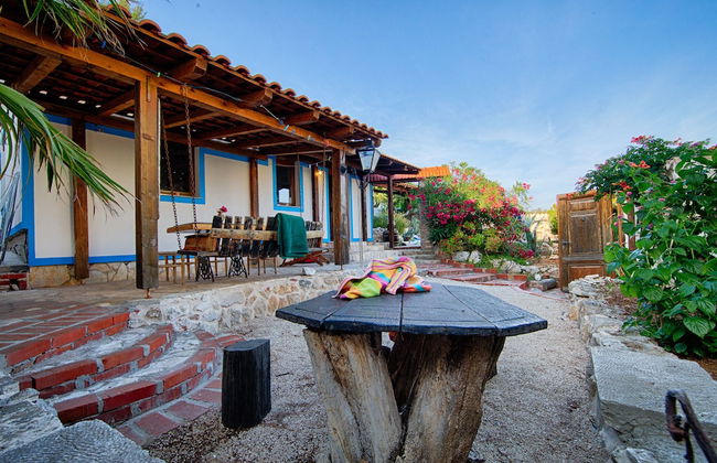 Victorious VIScovery Yellow - Foto 26