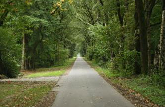 Ferienhof Thele Wohnung OG - Photo 22
