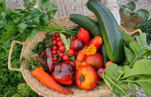 Agroturystyka Zadnie Łuki - Foto 44